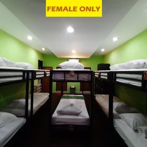 Bunk Bed in Female Dormitory Room  