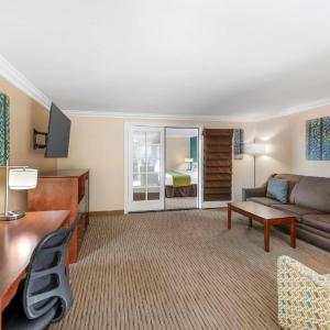 One-Bedroom King Suite