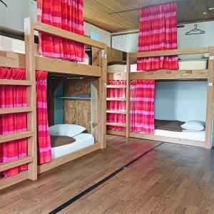 Bed in 6-Bed Mixed Dormitory Room
