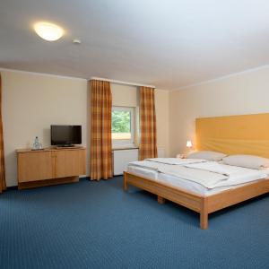 Double Room with Balcony or Terrace