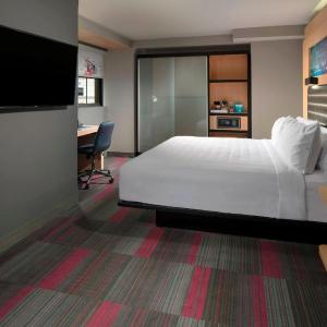 King Room with Roll-In Shower - Mobility Access/Hearing Accessible