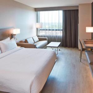 King Room with Sofa Bed - Hearing Accessible