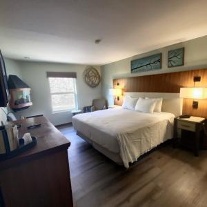 King Room - Disability Access