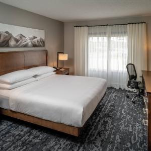 Executive Suite, 1 King, Sofa bed