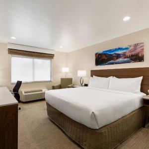 King Room with Roll-in Shower - Mobility Accessible