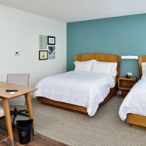 One-Bedroom King Suite with Sofa Bed - Hearing Accessible