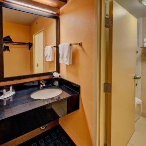 King Suite with Roll-In Shower and Sofa Bed - Mobility Access/Hearing Accessible
