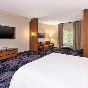 King Suite with Roll-In Shower and Sofa Bed - Mobility Access