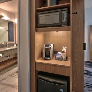 King Suite with Transfer Shower, Roll-In Shower and Sofa Bed - Mobility Access/Hearing Accessible