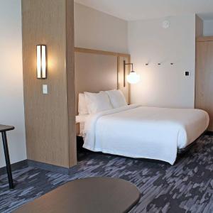 King Suite with Transfer Shower and Sofa Bed - Mobility Access/Hearing Accessible
