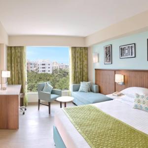 Executive King Room