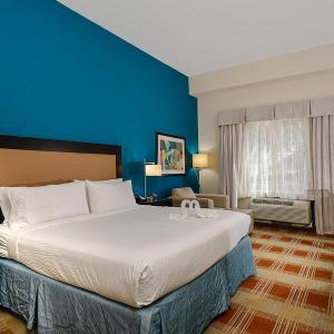 King Room - Mobility Access/Hearing Accessible