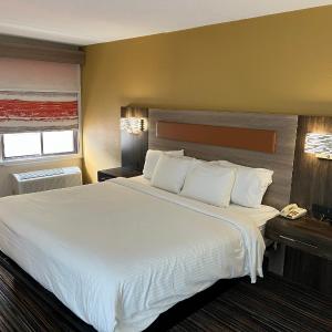 King Room - Non-Smoking