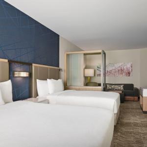 Queen Suite with Sofa Bed - Hearing Accessible