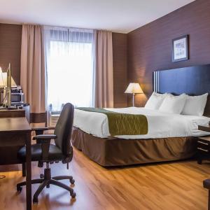 Business King Room with Sofa Bed