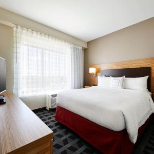 1 Bedroom Suite, 1 Queen, Sofa bed
