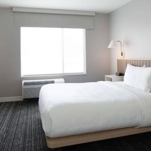 Queen Suite with Sofa Bed