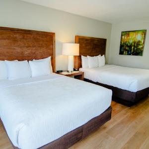 Two Queen Beds Non Smoking
