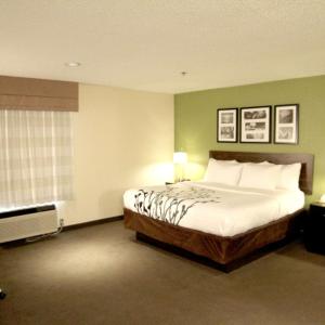 King Room - Non-Smoking