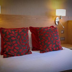 Standard Double Room - Non-Smoking