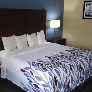 Deluxe Queen Room Disability Access Non-Smoking