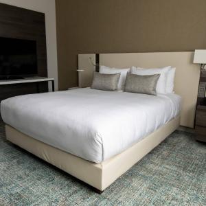Family, 1 Bedroom Larger Suite, 1 King, Sofa bed