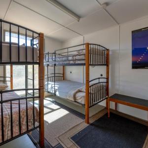 Three-Bedroom House - Fauna Park