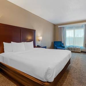 King Room with Roll-In Shower - Accessible/Non Smoking