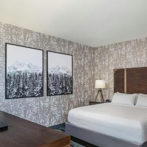 Executive King Room with Sofa Bed