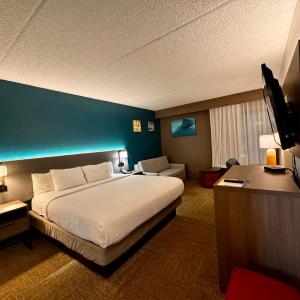 Standard King Room with Sofa Bed - Non Smoking
