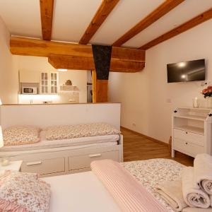 King Studio with Sofa Bed