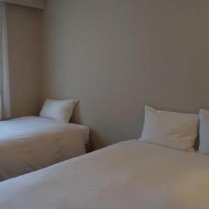 Double Room - Non-Smoking 