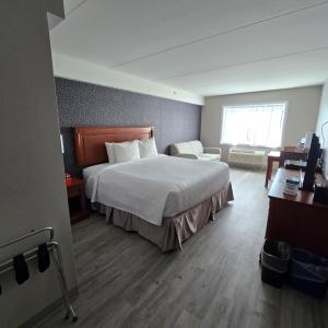 Deluxe King Room with Sofa Bed - Non-Smoking