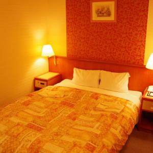 Double Room - Non-Smoking 