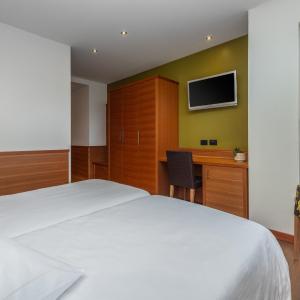 Double or Twin Room with Mountain View