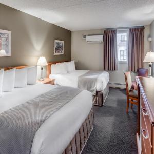 Standard Queen Room with Two Queen Beds