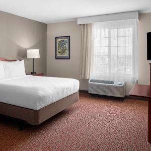 Studio Suite - Disability Access with Roll In Shower