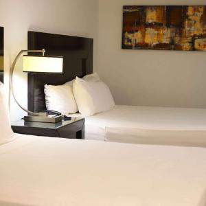 2 Queen Beds, Standard, Non-Smoking