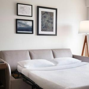 1 King Sofa Bed, Studio, 1 King, Sofa bed (Hearing Accessible)