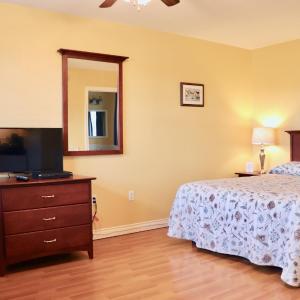 Queen Motel Room