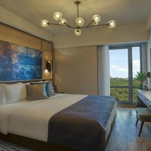 One-Bedroom Premier