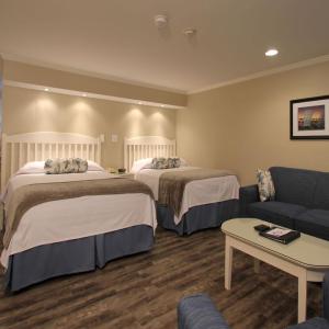 Ocean view. Queen, double & sofabed. Oceanside Building.