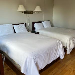 Double Room with Two Double Beds