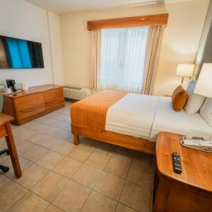 Standard Double Room - Non-Smoking