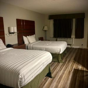 Standard Double Room with Two Double Beds