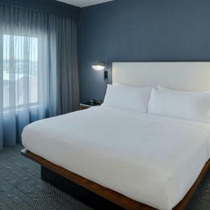 One-Bedroom King Suite with Bathtub and Sofa Bed - Mobility Access/Hearing Accessible