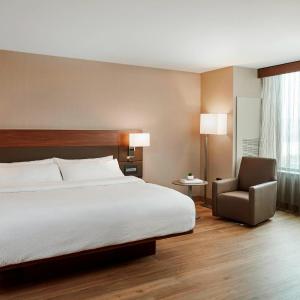 One-Bedroom King Suite