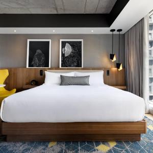 Hop King Room with Roll-In Shower - Mobility Access