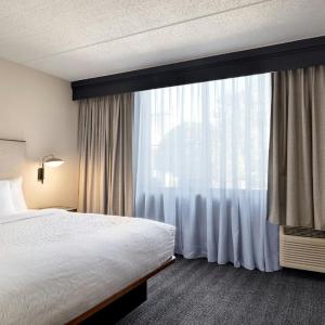 One-Bedroom King Suite with Sofa Bed