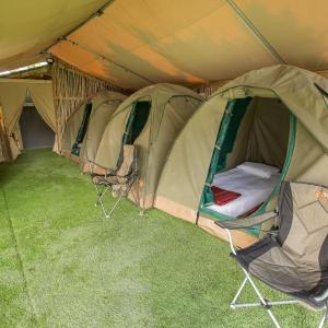 Standard Tent